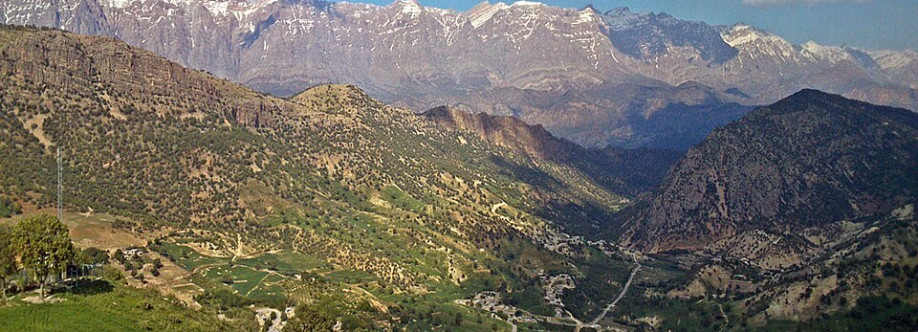 NGOزاگرس Cover Image