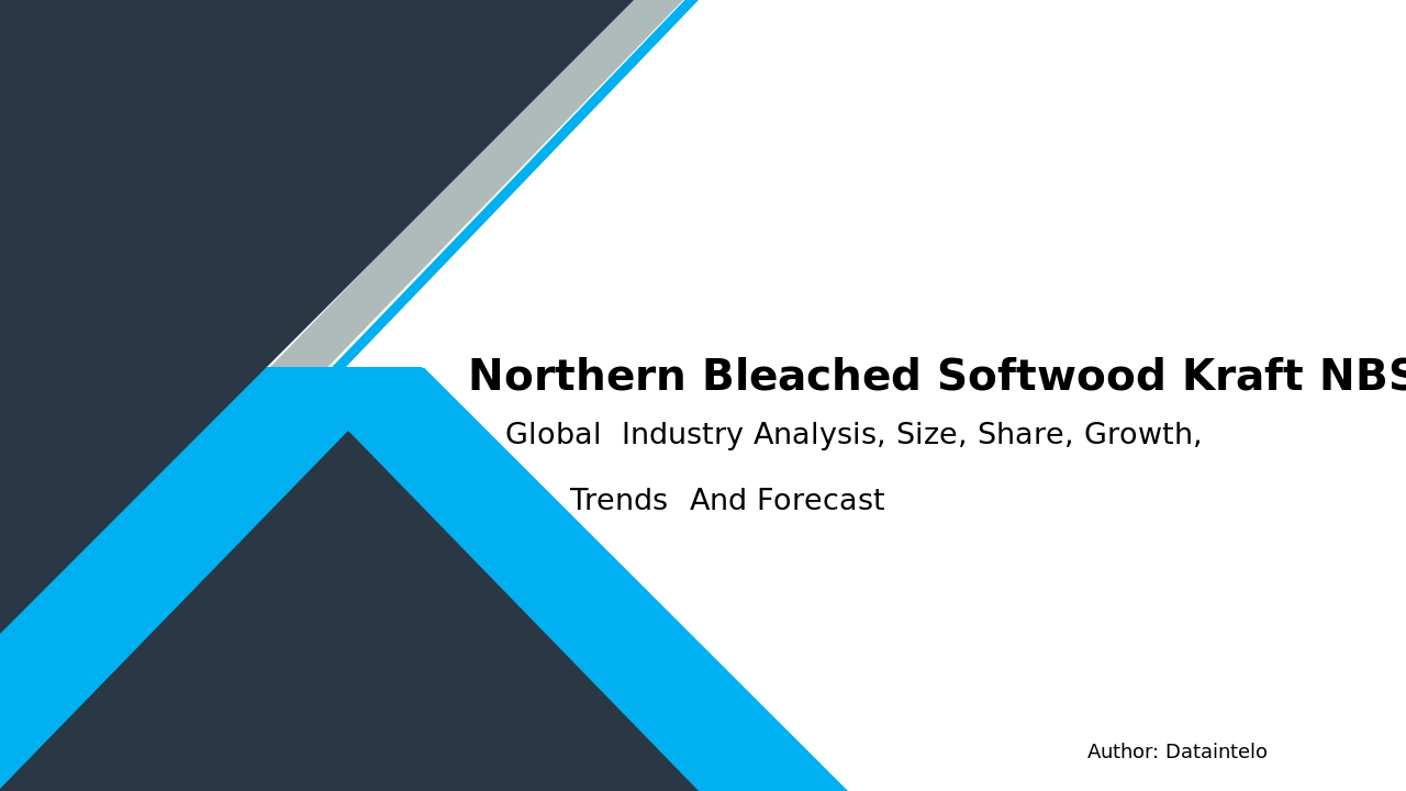 Northern Bleached Softwood Kraft (NBSK) Market Report | Global Forecast From 2025 To 2033