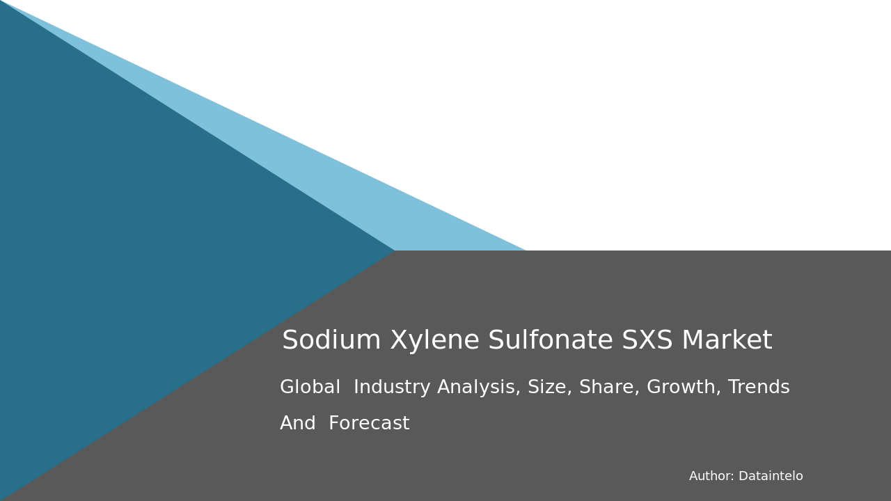 Sodium Xylene Sulfonate (SXS) Market Report | Global Forecast From 2025 To 2033