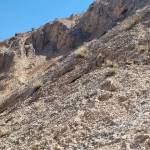 AKBARI Profile Picture